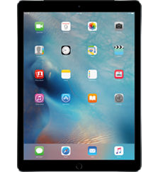 iPad&reg; Pro