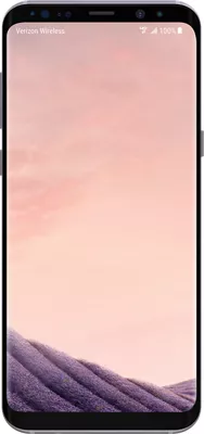 Samsung Galaxy S8+