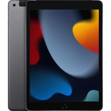 Restored Apple iPad 10.2 inch 9th Gen 256GB WiFi + Cellular Mk6a3ll/a - Silver