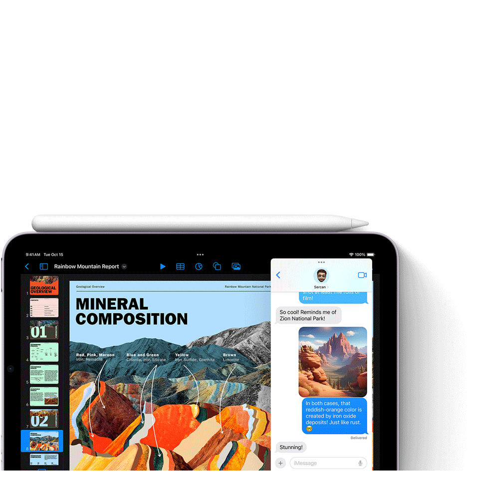 Apple iPad mini (A17 Pro) for Business | Verizon