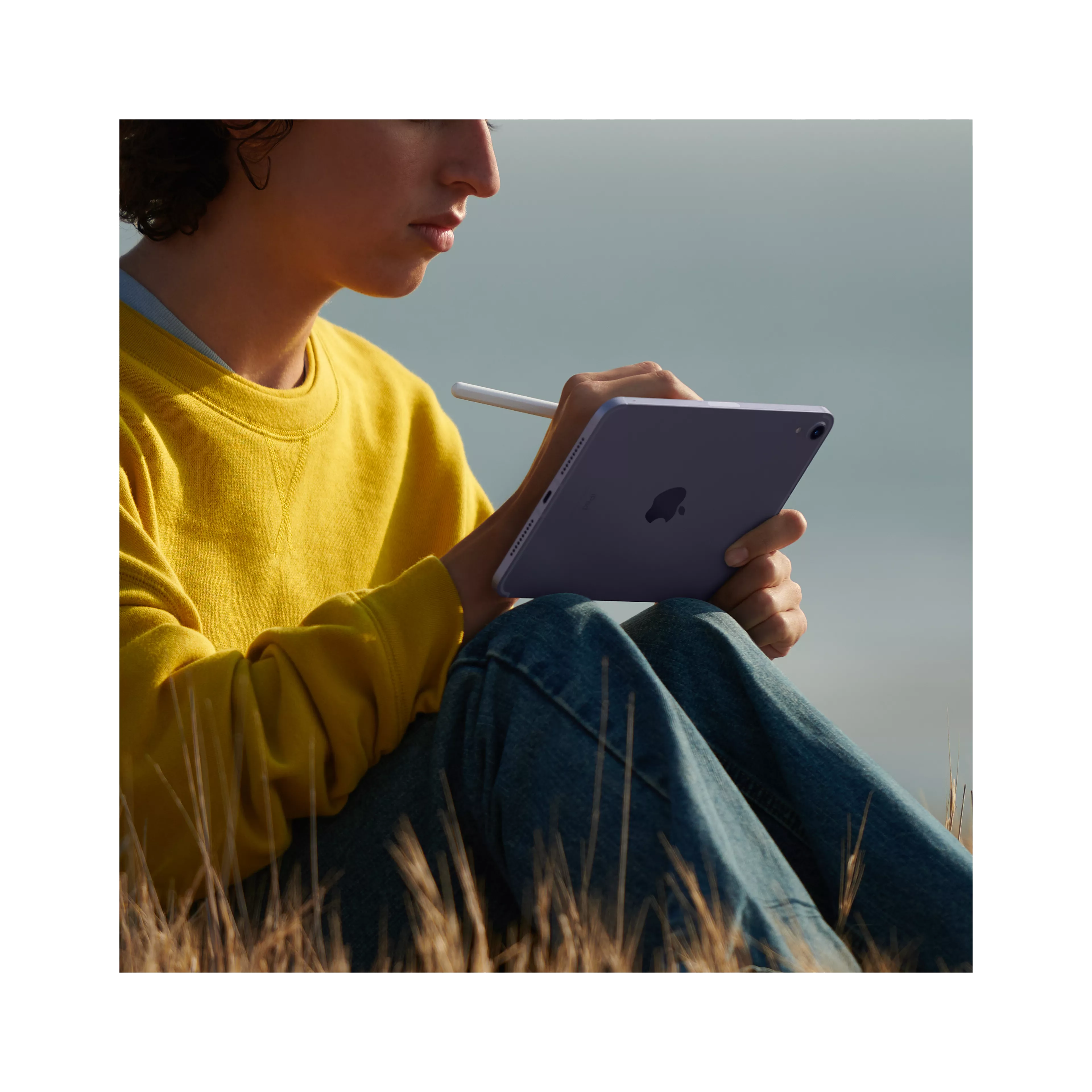 Apple iPad mini (2021) 64GB in Pink image 4