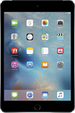 Apple iPad mini 4 Prepaid | Verizon