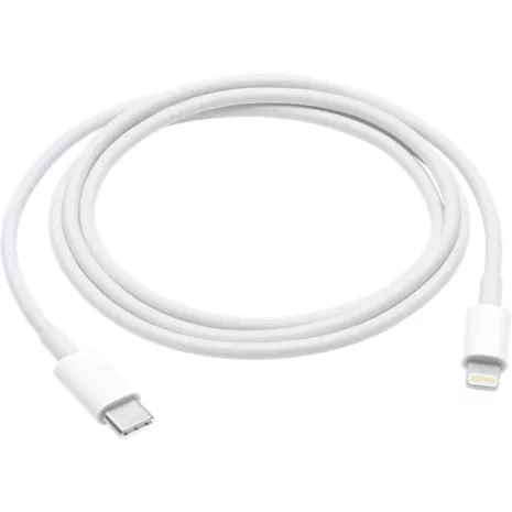 Apple Lightning to USB Cable (1 m)