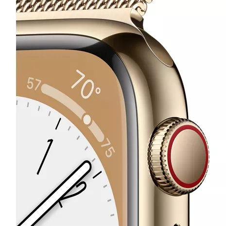 Apple watch gold clearance stainless