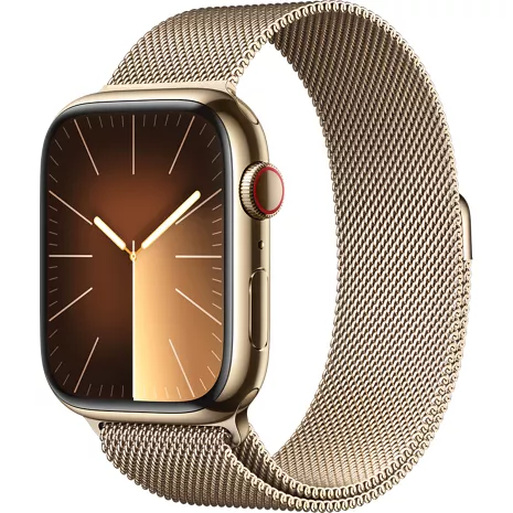 Apple Watch Series 9 GPS + Cellular 45mm Gold Stainless Steel