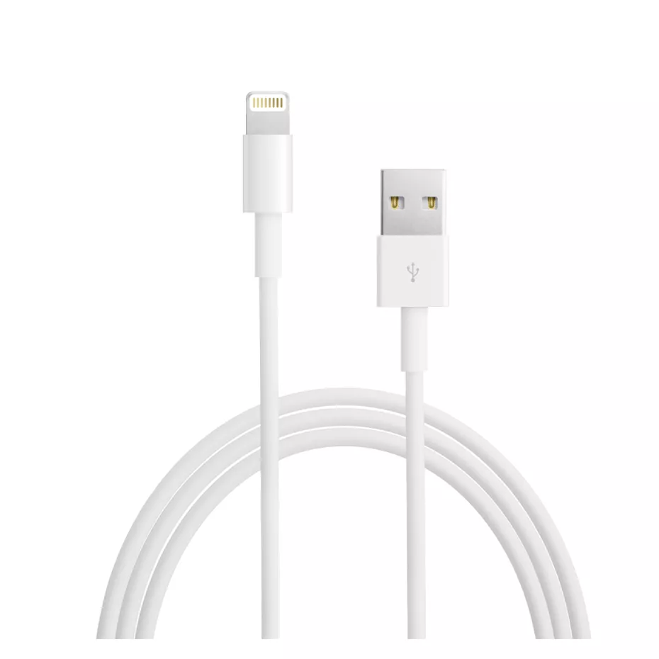 Apple Lightning to USB Cable (1 m) | Verizon