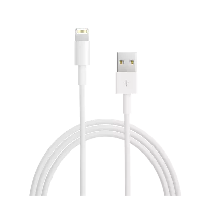 Apple Lightning to USB Cable (1 m) White image 1