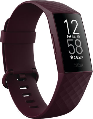 fitbit overview