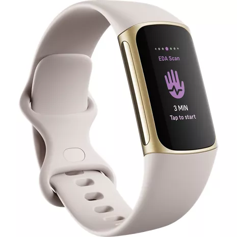 Retailer Fitbit charge 5