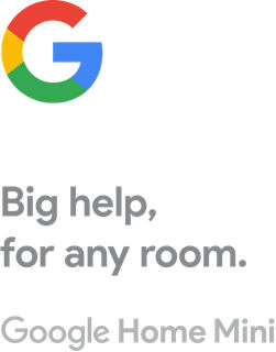 Google G logo with included text: Big help, for any room. Google Home Mini