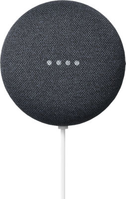 Google Nest Mini | Verizon