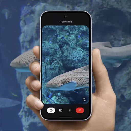Share your camera in Gemini Live to talk through whatever's on your screen.<sup>6</sup>