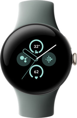 Order the Google Pixel Watch 2 Smartwatch