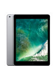 iPad (5th generation)