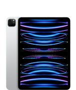 iPad Pro 11-in. (4th generation)