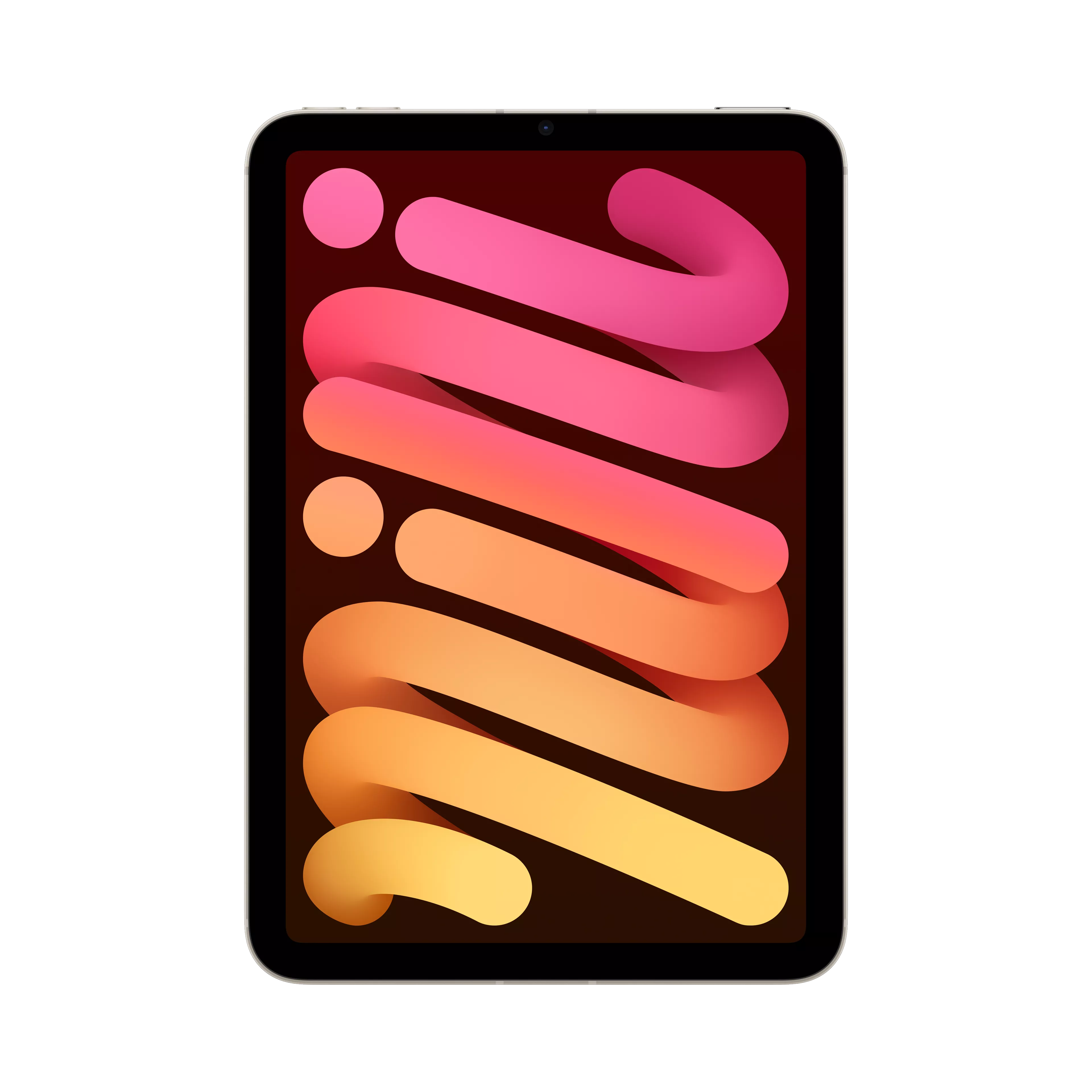 Apple iPad mini (A17 Pro) for Business | Verizon