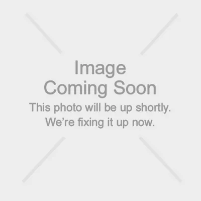 LG Spectrum 2 (Certified Pre-Owned) undefined image 1