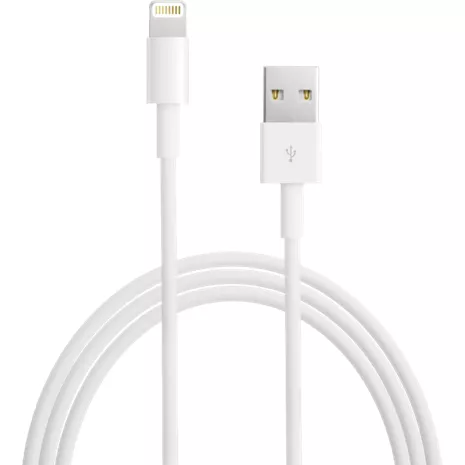 Cable Apple Lightning a USB - 2 metros