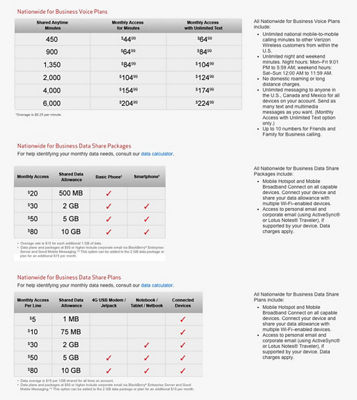 verizon business plans pdf