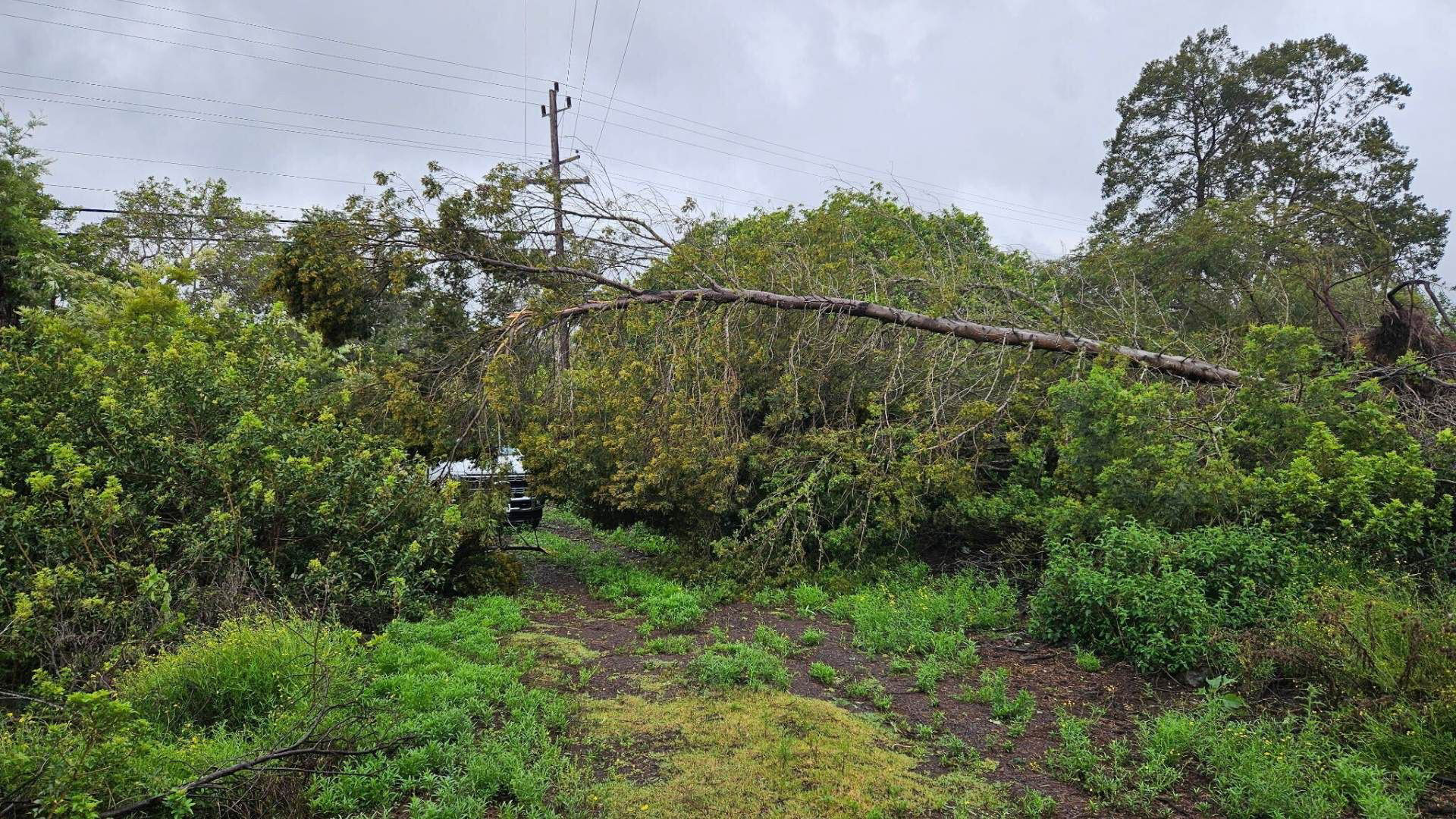 Verizon readies Hawai’i for storm relief