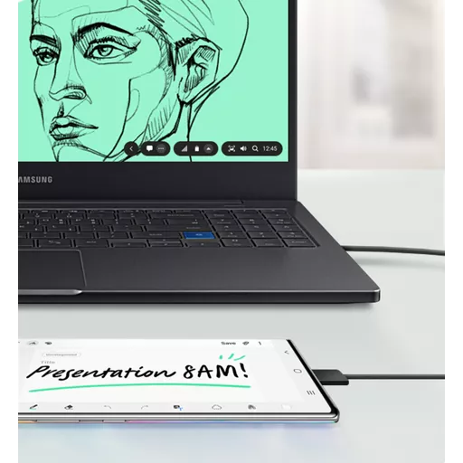 Samsung Dex for PC.
