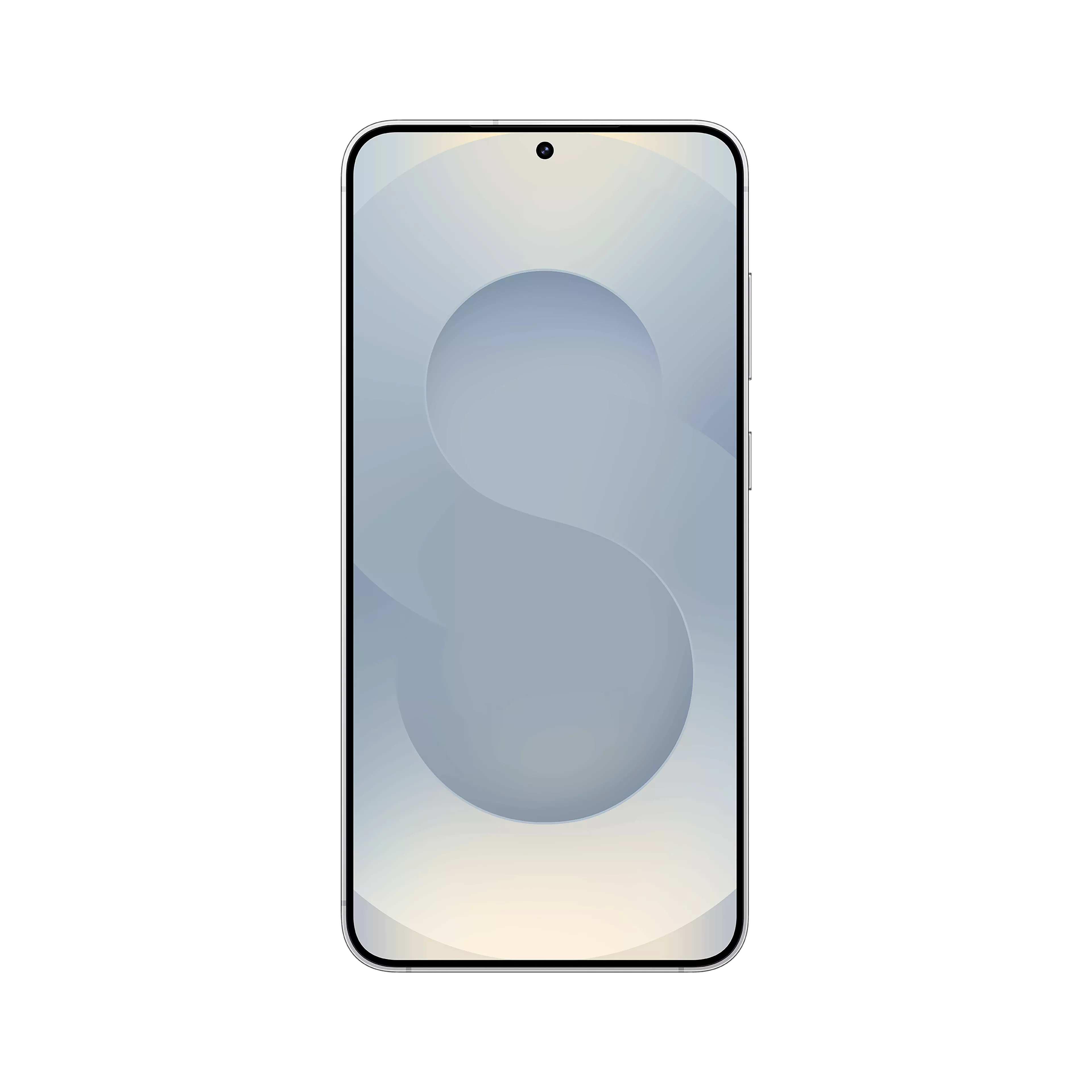 Samsung Galaxy S25+ 256GB in Silver Shadow image 2