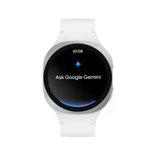 A personal assistant, right on your wrist.