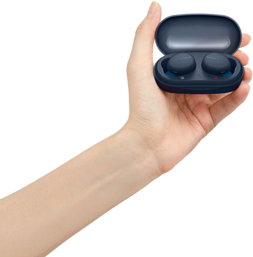 sony truly wireless earbuds with extra bass