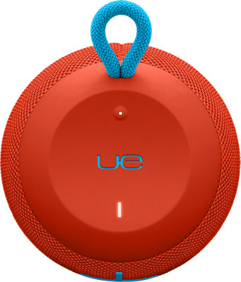wonderboom red