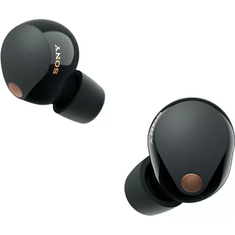 Sony True Wireless Noise Canceling Earbuds