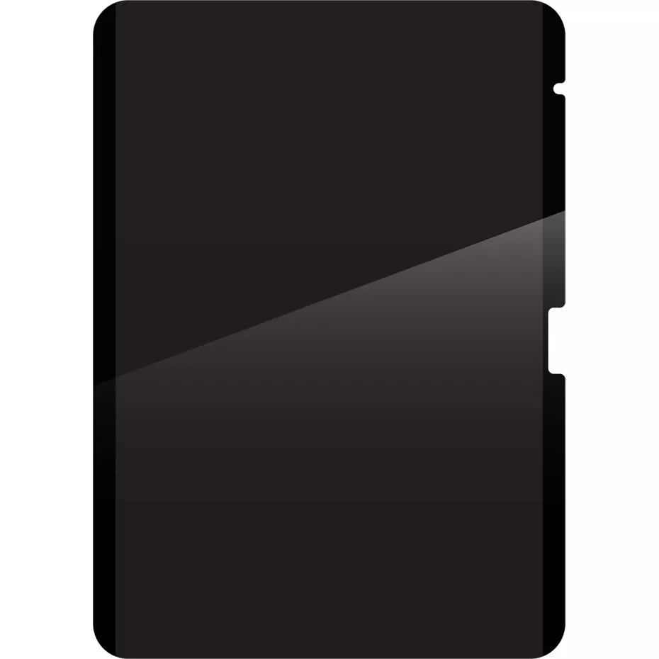Zagg Removable Privacy Screen Protector for iPad Air 11-inch (M3) and 11-inch Air (M2) | Verizon