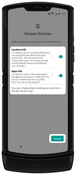 Verizon Services screen with emphasis on option switches and Accept button