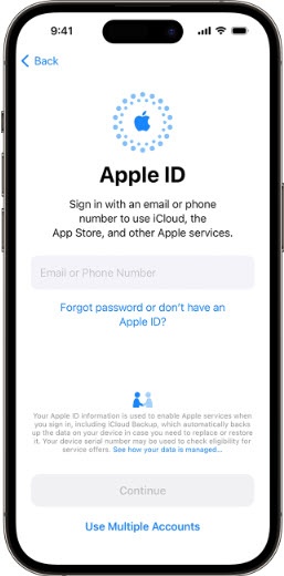 Apple ID Screen