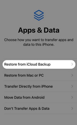 Restore from iCloud Backup
