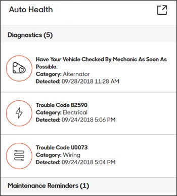 Auto health section