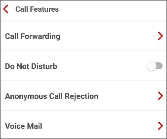 Call features