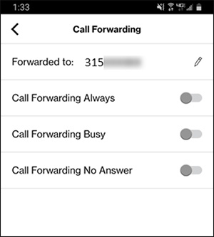 Call Forwarding options