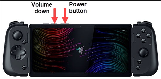 Power and Volume Down buttons