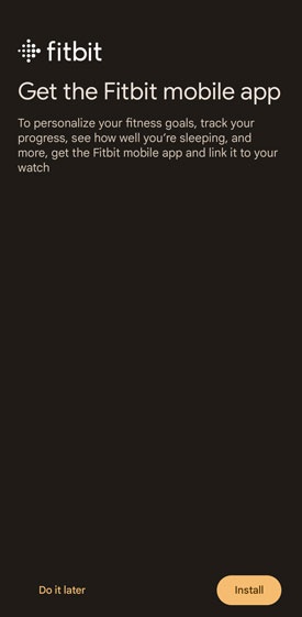 Tap Do it later or install
