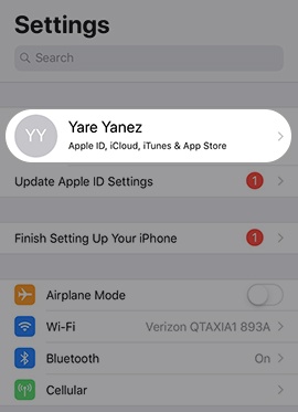 Tap the Apple Profile