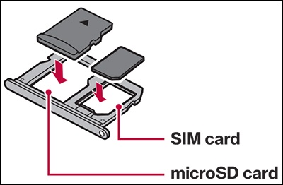 Insert the SD card