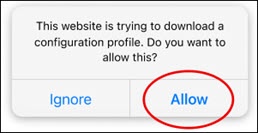 Allow download