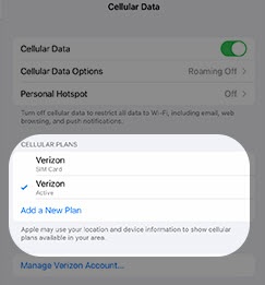 Apple SIM can no longer activate new cellular data plans on iPad - The Verge