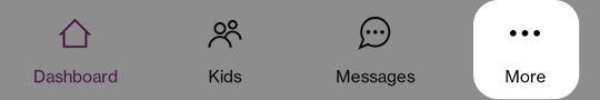 More menu option