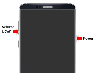 Power and Volume down buttons