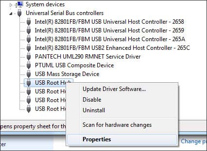 Right-click USB Root Hub then select Properties