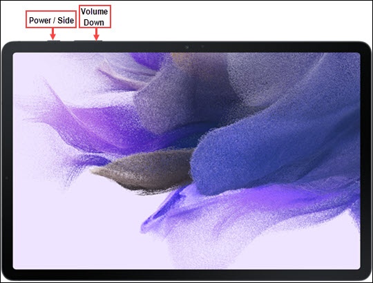 Power and Volume Down buttons