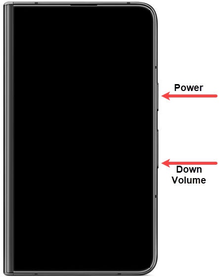 Power and volume down buttons