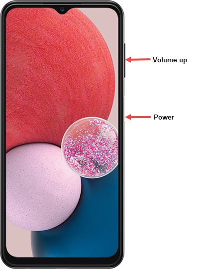 Power and Volume Up buttons