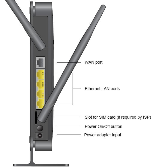 back panel